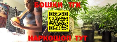 индика Вязьма