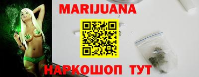 индика Вязьма