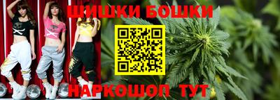 индика Вязьма